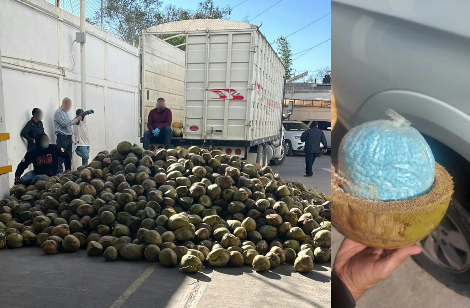 Los métodos del narco para transportar drogas en México: desde el uso de cocos hasta tractocamiones de carga pesada